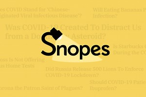 An Interview With Snopes.com About Fighting Coronavirus Lies