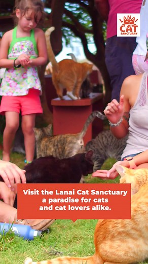 2.5K views · 158 reactions | Where can your kids laugh, explore, and...