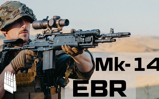 Mk14 Mod 0 EBR 美军最好的战斗步枪