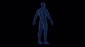 Download A blue human body on a black background for free