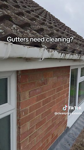Do your Gutters need clearing? Quick tip 👍 #guttercleaning #guttermaintenance #guttervac #skyvac #fypage❤️❤️