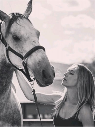 The Art of Working with Horses: Heartland's Inspiration