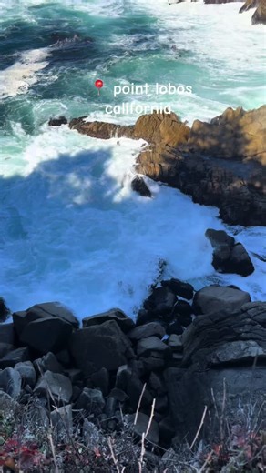 Stunning Views at Point Lobos Reserve Park