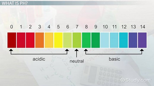 pH Determination | Overview & Methods
