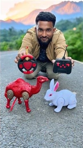 New Remote Control Rabbit and RC Camel Unboxing 😱