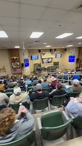 Busy night at our last special cow sale for the year! We hope everyone got what they hoped for this Christmas season! 🎄🎁🎅 Thank you to everyone that came out tonight, we appreciate each and every one one of you! Merry Christmas and Happy New Year! ✨ We’ll see you back here January 2nd to start the year out with a BANG💥 for our Special Yearling Sale! #SLMC #sellatauction #springfieldlivestock | Springfield Livestock Marketing Center