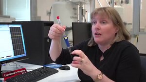 Top 9 Plants That Like High Phosphorus  - Grower Today