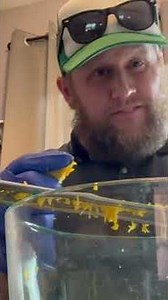 From Soil to Spice: Sun-Drying Turmeric 🌱☀️