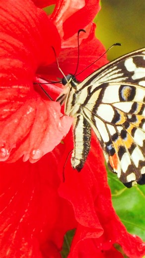 Banwa Private Island: A Sanctuary of Malasakit in Palawan