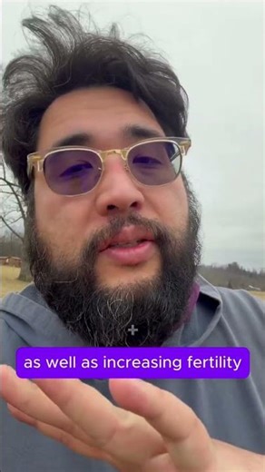 #treefacts - Windbreaks and Sound