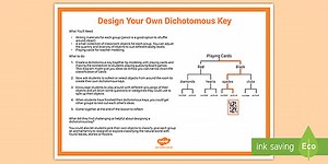 Design Your Own Dichotomous Key