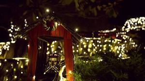 189 reactions · 160 shares | The Garden Railway is now open for the...