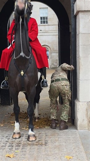 👑 Did He Just Keep It? 😮 Trooper Picks Up £10 Note at Horse Guards London 💂‍♂️🐴 #londonuktravelwalk #viralreels #horseguardslondon #royalguards #kingsguard | London Uk Travel Walk