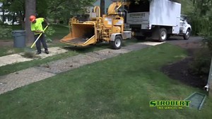 Tree Removal In Delaware using Bucket Truck