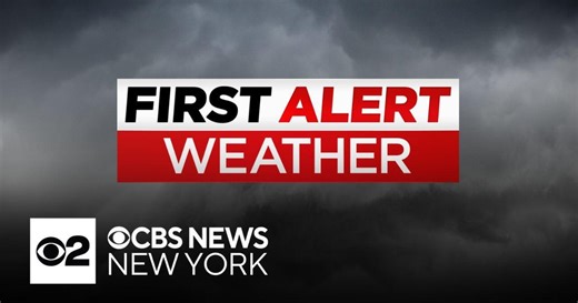 First Alert Weather: Dreary, damp Sunday in New York - 11/8/25