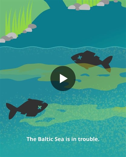 #europeanoceansweek #balticsea #sourcetosea #wetlandrestoration #baltcop #marineconservation #wwf #eutrophication #naturebasedsolutions | WWF Baltic Sea Programme