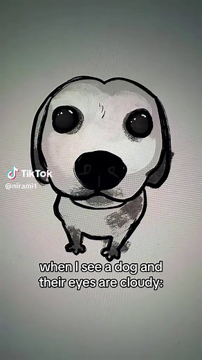 Understanding Cloudy Eyes in Puppies and Dogs