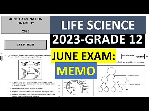 GRADE 12: 2023 JUNE EXAMS:MEMO: LIFE SCIENCES GRADE 12 [THUNDEREDUC] BY: B.SAIDI