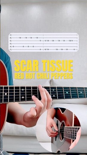 Scar Tissue | Red Hot Chili Peppers | Guitar Tutorial #guitar #guitarcover #guitarlesson #guitarra