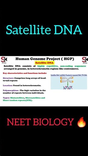 Satellite DNA.. NEET BIOLOGY..