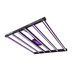 Lumatek Zeus 600W PRO LED kaufen