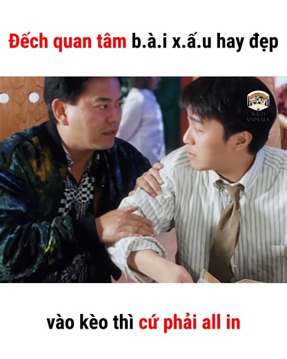 Vô kèo là cứ phải xanh chín | Wild Animals