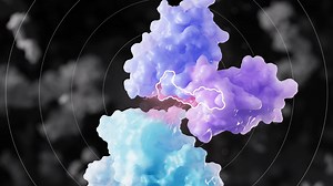 3D for Medical Sciencce: Targeted Protein Degradation