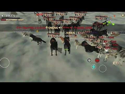 Wolf Online 9.0.4 New Hack Mod