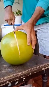 754K views · 13K reactions | “Ever seen the unique Calabash fruit?  A rare tropical wonder with cultural, medicinal, and artistic uses. Would you try it?” #CalabashFruit #TropicalFruit #ExoticFruits #HealthyLivingUSA #FruitFacts #Superfruit #WellnessJourney #NaturalHealing #ExoticEatsUSA #FruitLoversUSA #HolisticHealth #FoodieDiscovery #NatureInspired #FruitExploration #USAHealthyLife | Thagavalkaaran | Facebook