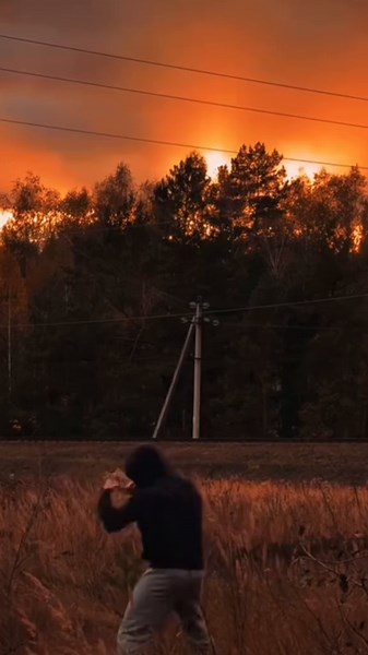 Discipline and Motivation in Personal Development