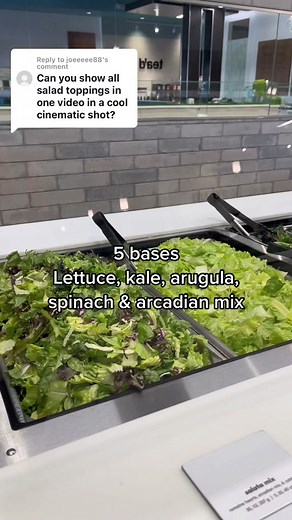 Salata vs Arcadian Mix: Ultimate Salad Showdown