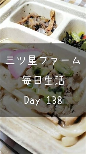 【Day138】じゅわっと 豚肉の旨味が染みた肉うどん｜三ツ星ファーム毎日生活
