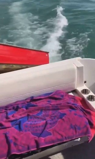 32M views · 386K reactions | And then there is this guy ... | Midway Marine | Facebook