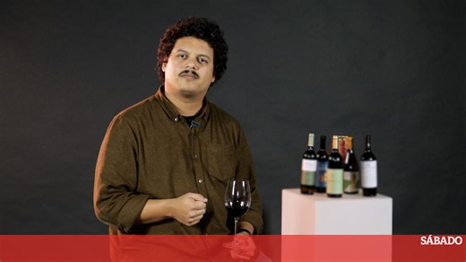 Néctar dos deuses: eis os melhores vinhos que provámos em 2025