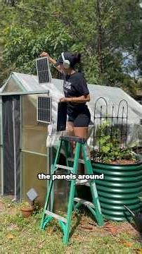 Solar Energy Greenhouse ☀️ 🏠 #greenhouse #solarenergy #plants