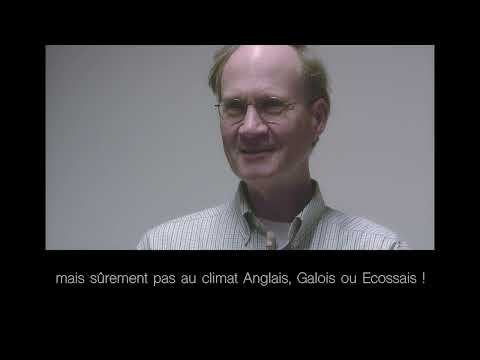 "Abeilles mellifères à l'état sauvage", interview de Thomas Seeley