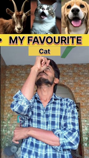 WHO CAN DO IT?! 😜 WE CAN'T DOG TIKTOK MATADORA - #dance #funny #couple #shorts #viral #trend