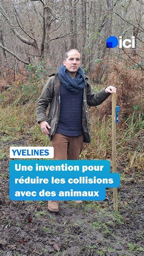 ICI Paris Île-de-France on Instagram: "En 2024, 9 personnes sont mortes dans un accident impliquant un animal. Pour tenter d’y remédier, Aymeric Benoit, installé à Gambaiseuil dans les Yvelines, teste un système de « miroir » pour dissuader les cerfs, chevreuils et sangliers de traverser la route lorsqu’une voiture approche. #yvelines #invention #accident"