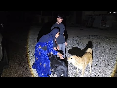 Homecoming: Grandma's Love and Puppies