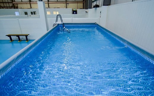 Doggy Swimming Pool | Dogs Aloud Dog Day Care | Manchester