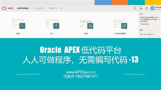 Oracle APEX编程培训-不写代码实现两个应用程序13
