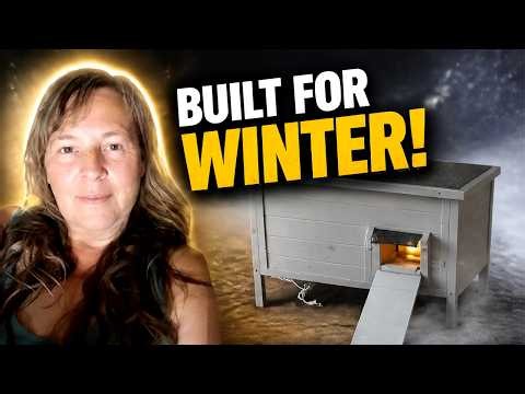 Heated Outdoor Cat Shelter: Ivy Lane Review of the Large Winter House with Ramp and Heating Pad
