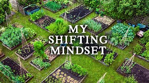 The Danger of No Dig | A Personal Story