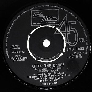 Marvin Gaye - After The Dance