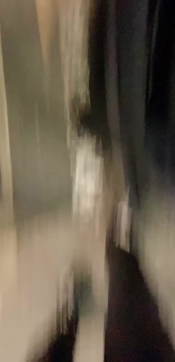 弟と原宿デート