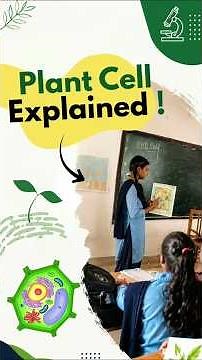 Inside a Plant Cell! Students Explore Eukaryotic Cells Through Hands-On Learning