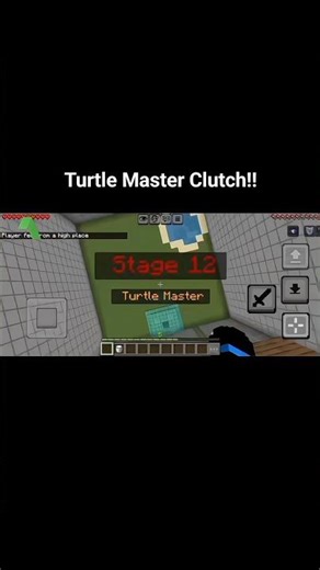 Turtle Master Clutch!!