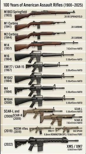 American Army Rifles Timeline | 100 Years of Firepower