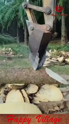 Excavator with Log Splitter Attachment Processing Wood #HeavyEquipment #Logging