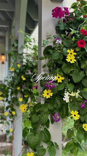 Hanging Flower Baskets | Fresh Roots Living